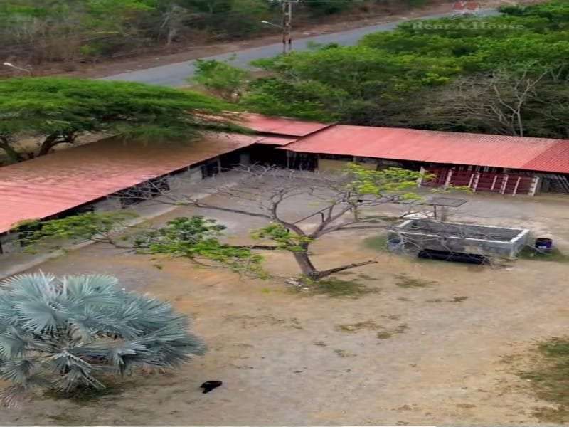 Terreno en Yaritagua - 1