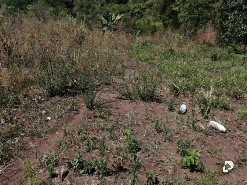 Terreno en Caripe – 6