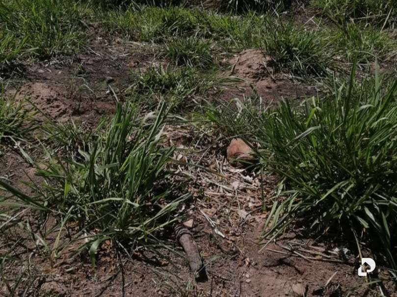 Terreno en Caripe – 4
