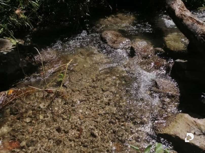 Terreno en Caripe – 7