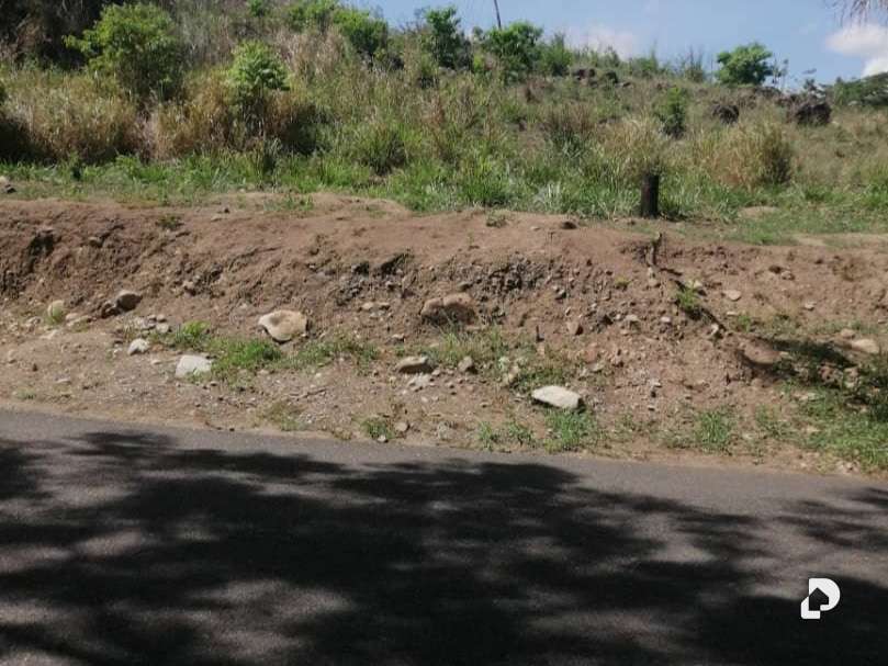 Terreno en Caripe – 3