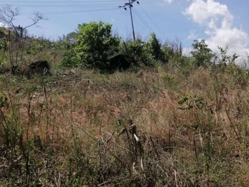Terreno en Caripe - 1