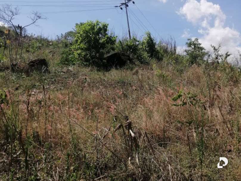 Terreno en Caripe – 1