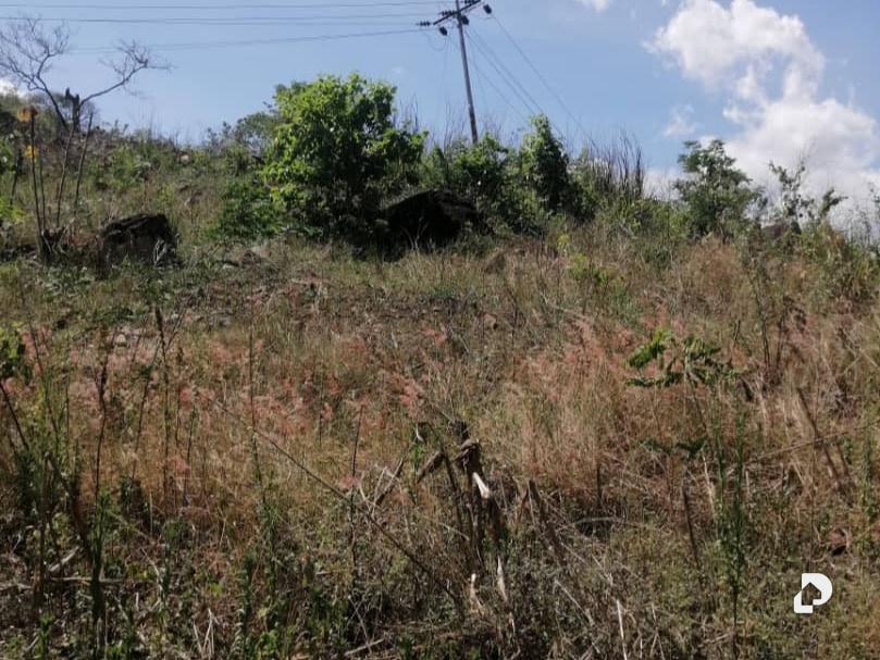 Terreno en Caripe – 1