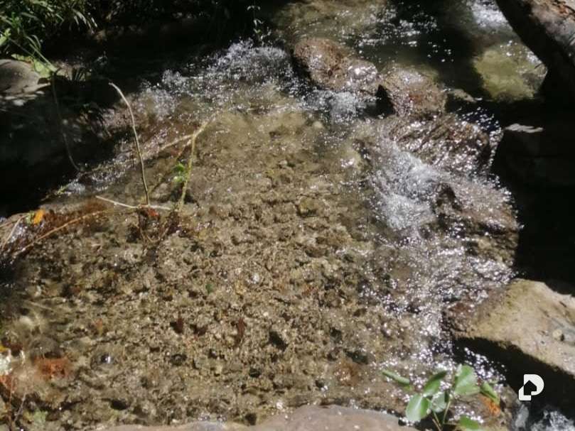 Terreno en Caripe – 9
