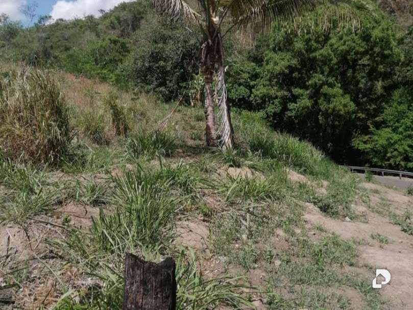 Terreno en Caripe – 2