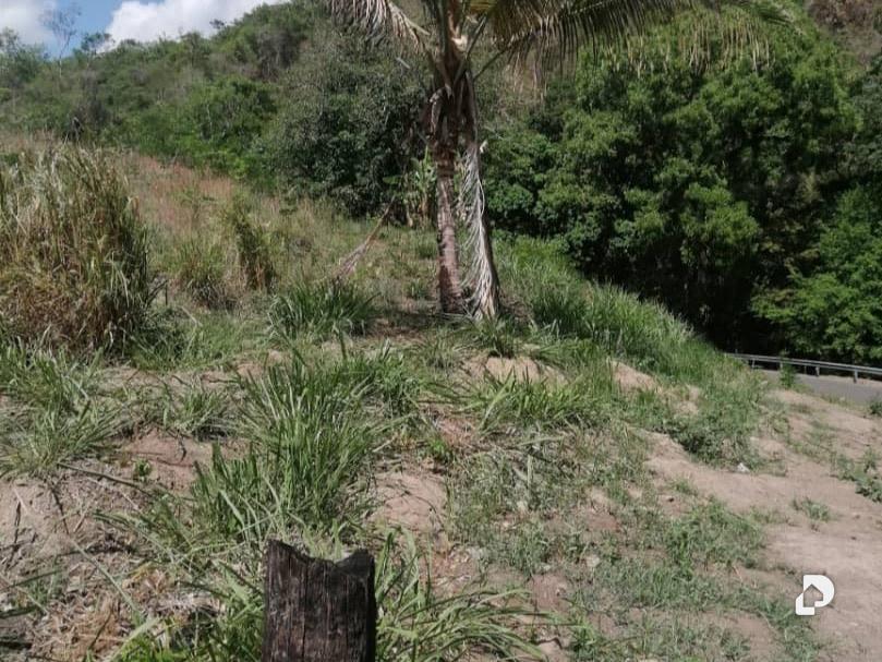 Terreno en Caripe – 2