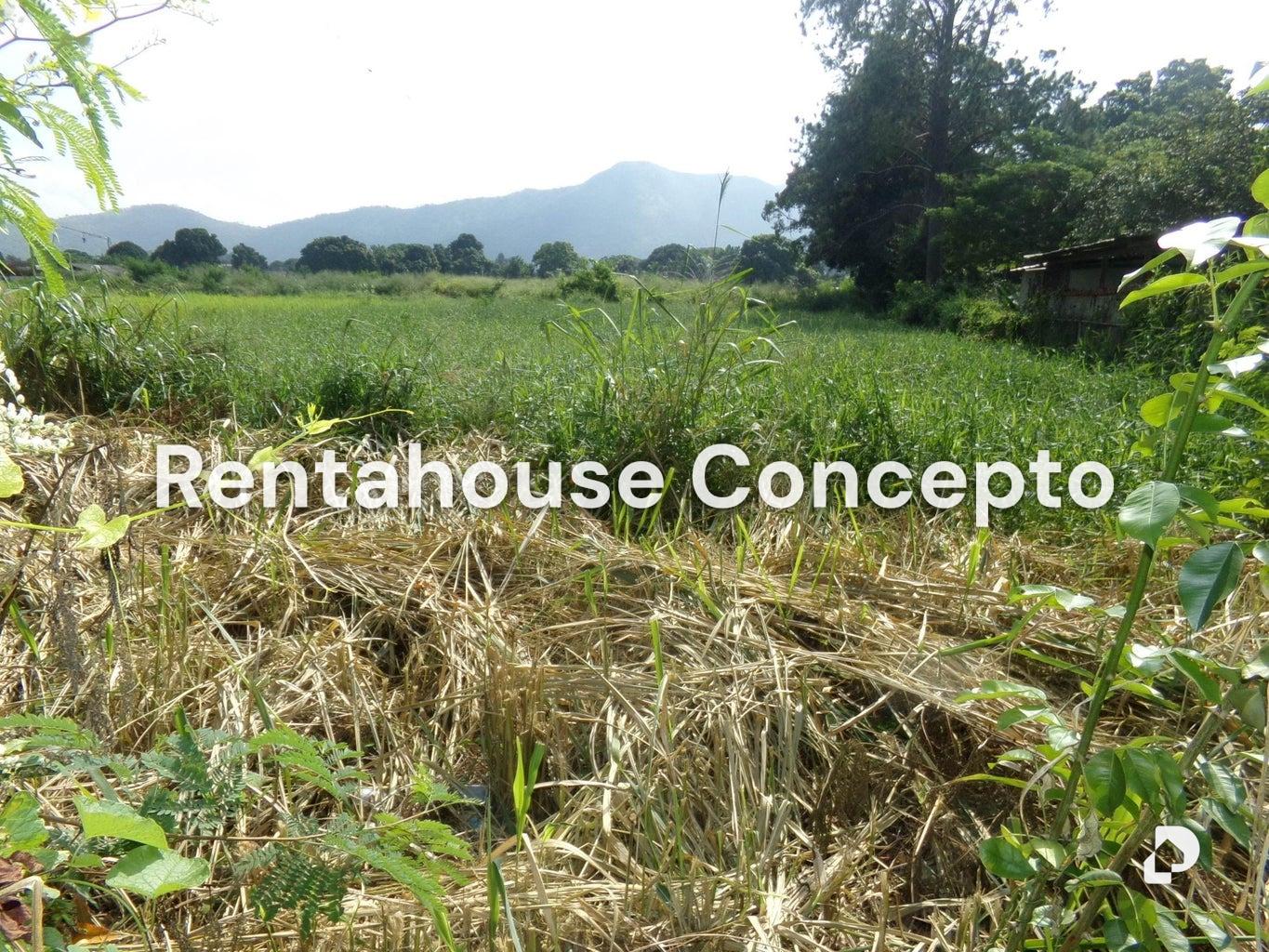 Terreno en Sabana del Medio, San Diego – 4