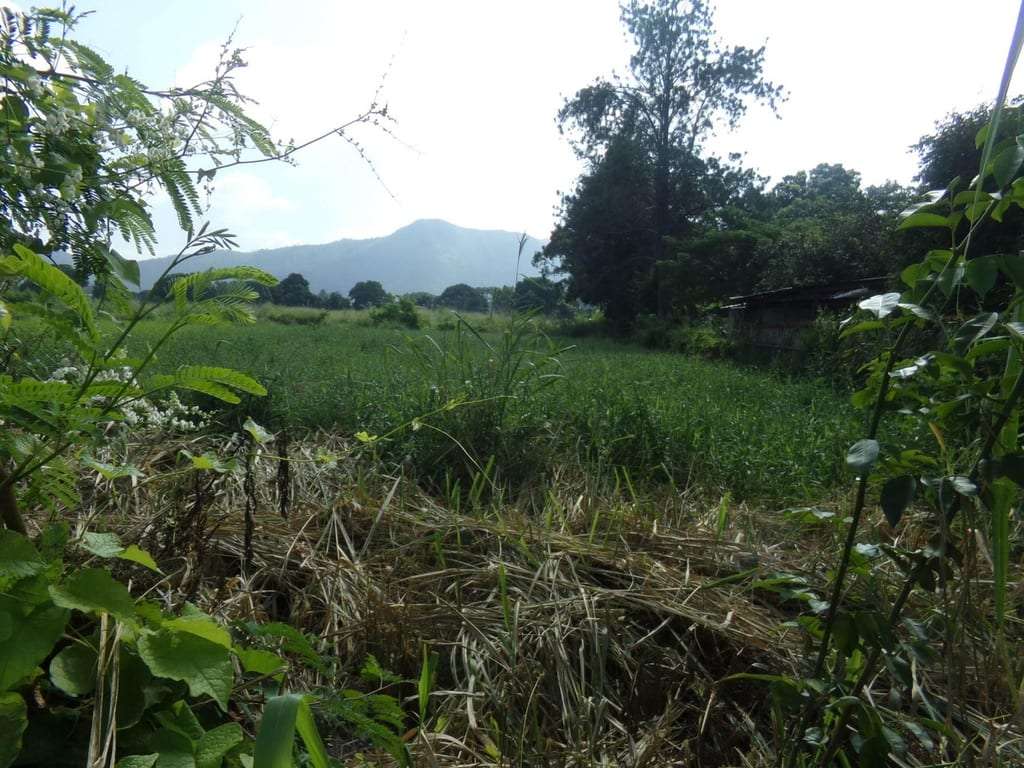 Terreno en Sabana del Medio, San Diego