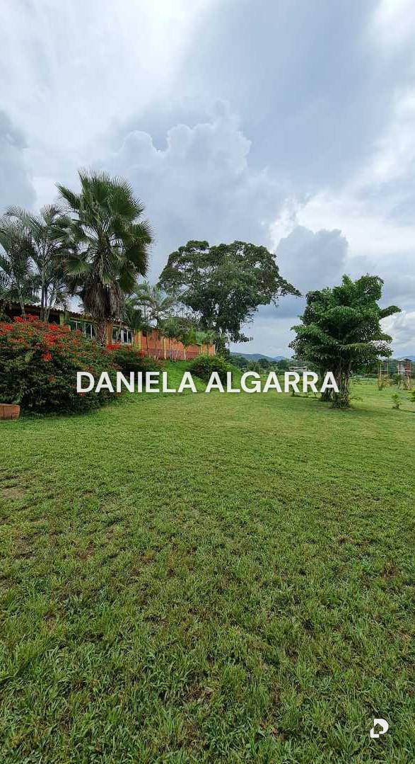 Farm in Montalbán, Valencia – 1