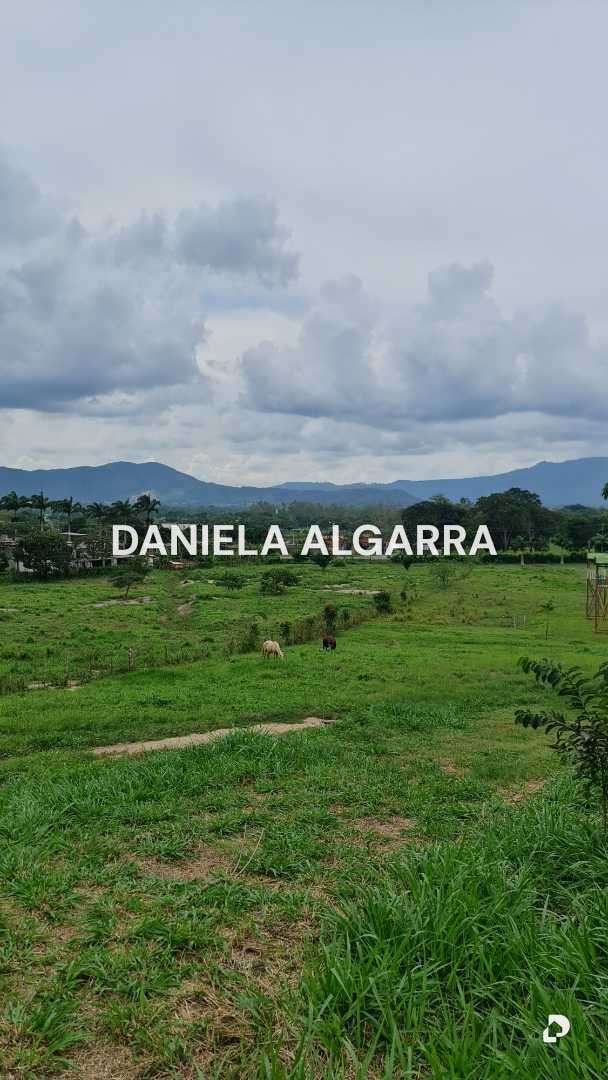 Farm in Montalbán, Valencia – 8