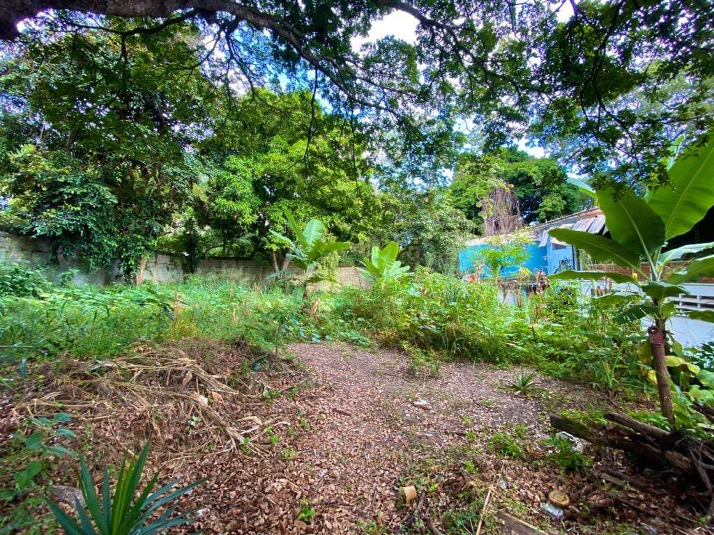 Terreno en Alta Florida, Caracas - 1