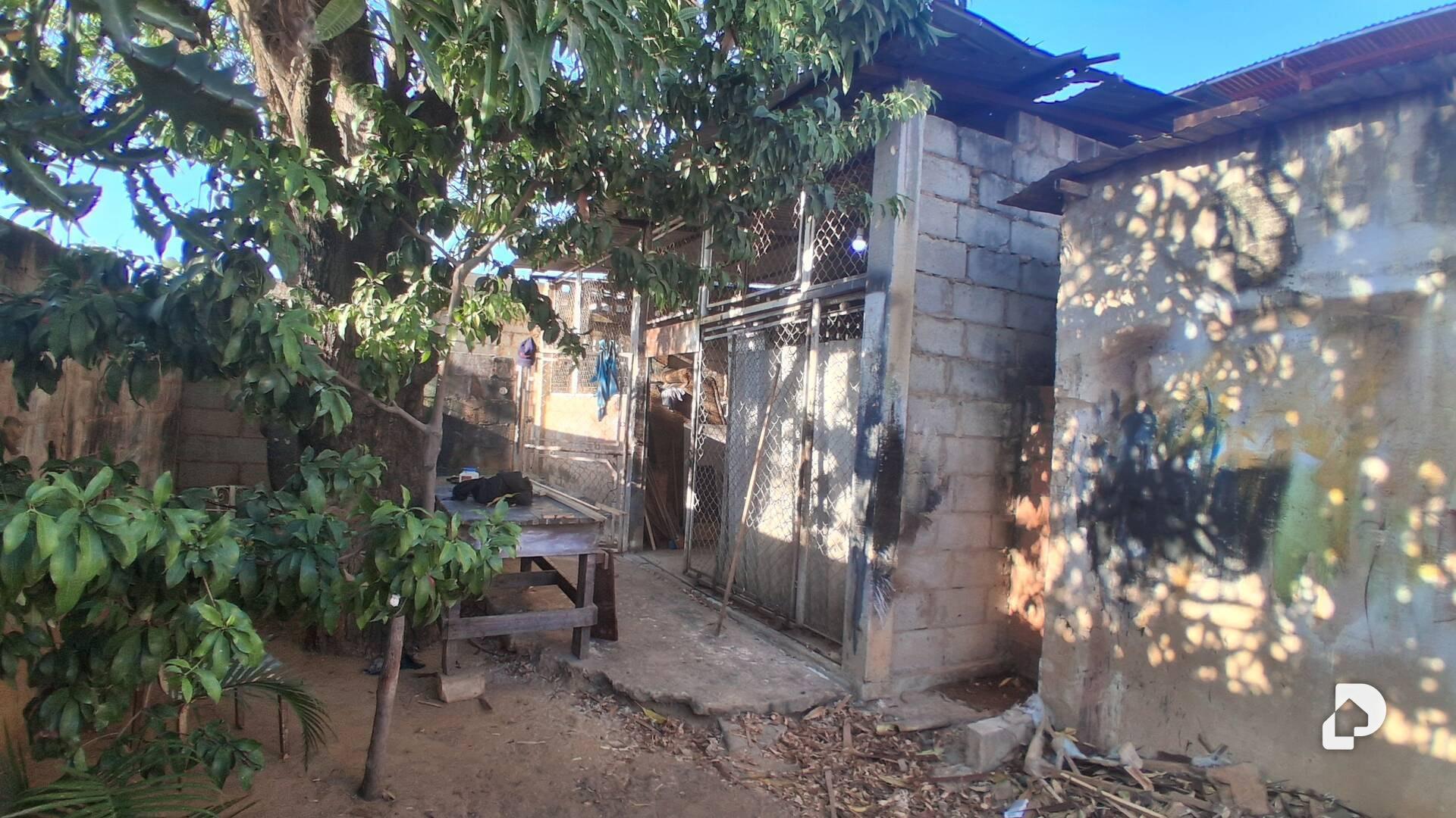 Galpón en Rafito Villalobos, Maracaibo – 1
