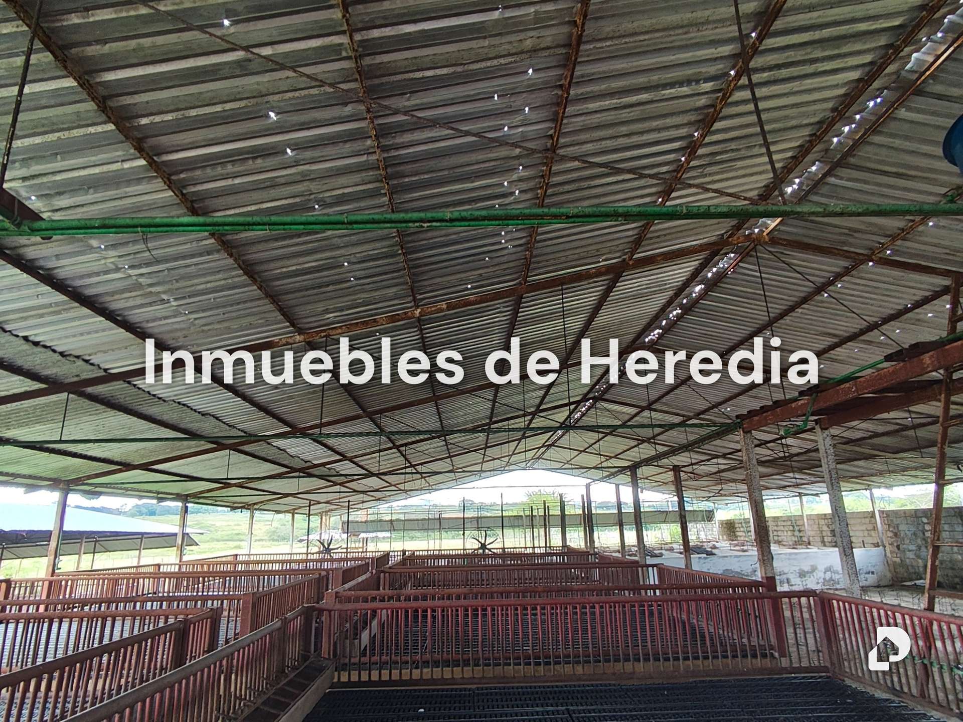Finca en Tinaquillo – 14