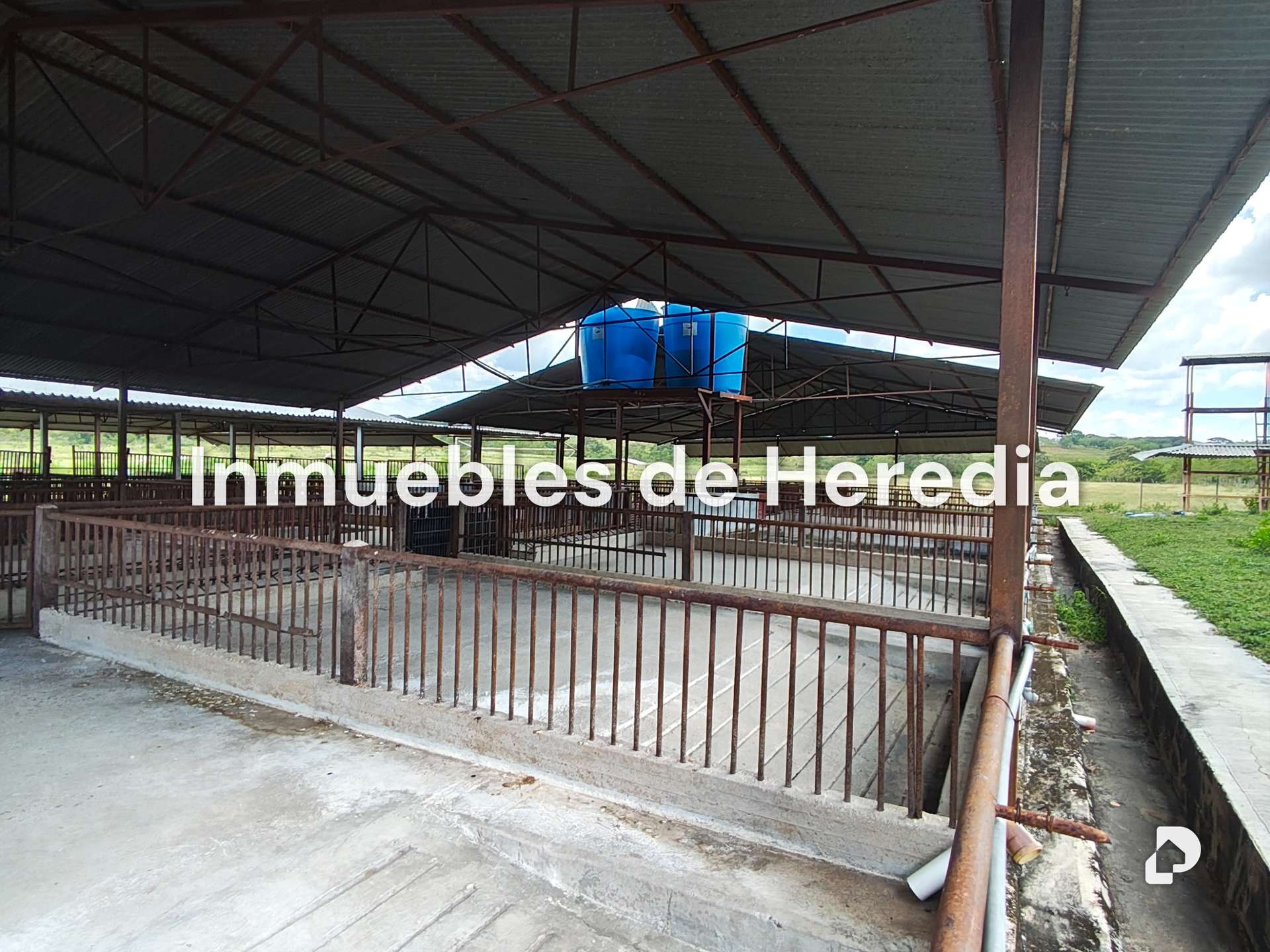 Finca en Tinaquillo – 16