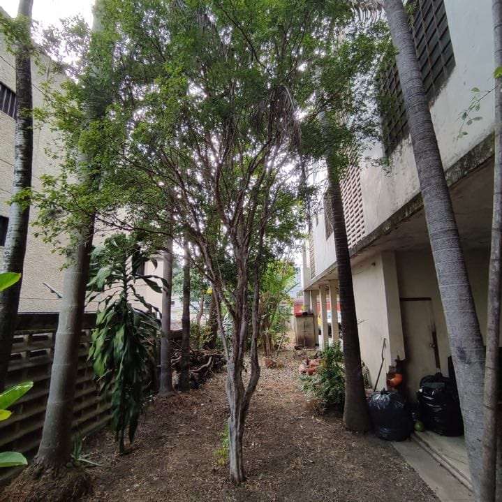 Casa en Los Palos Grandes, Caracas
