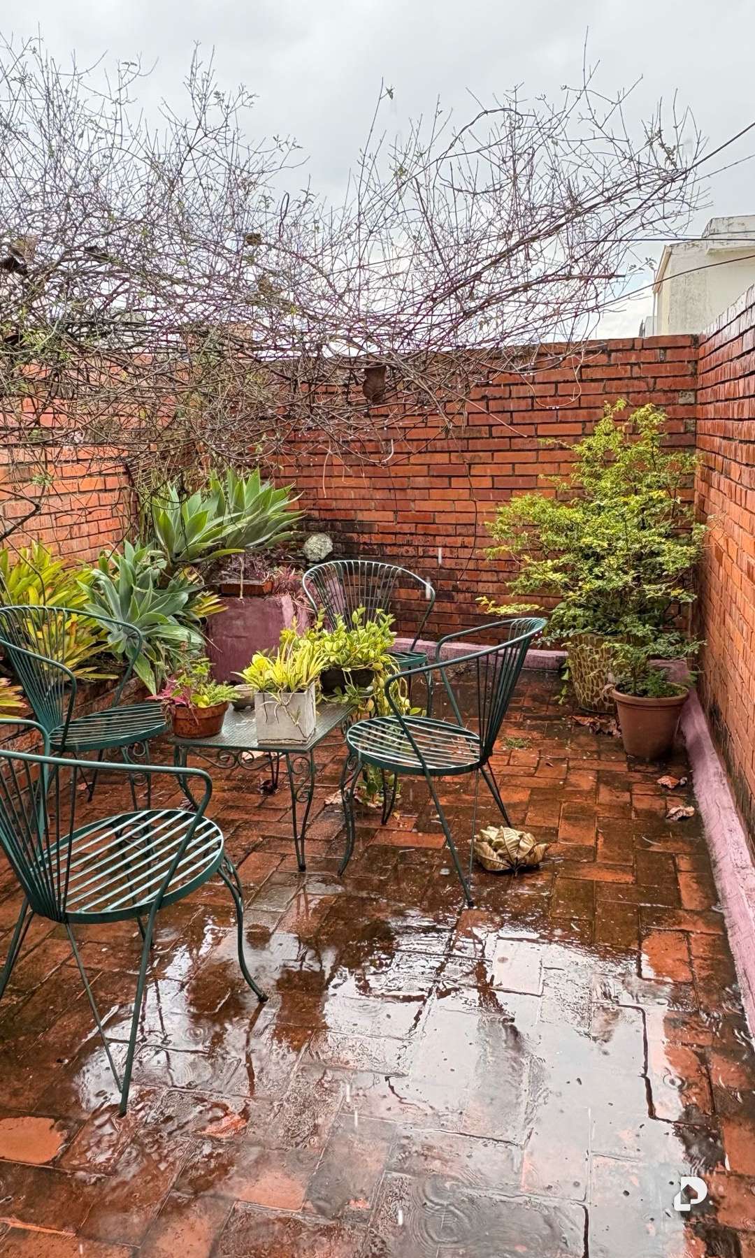 Casa en Los Chorros, Caracas – 5
