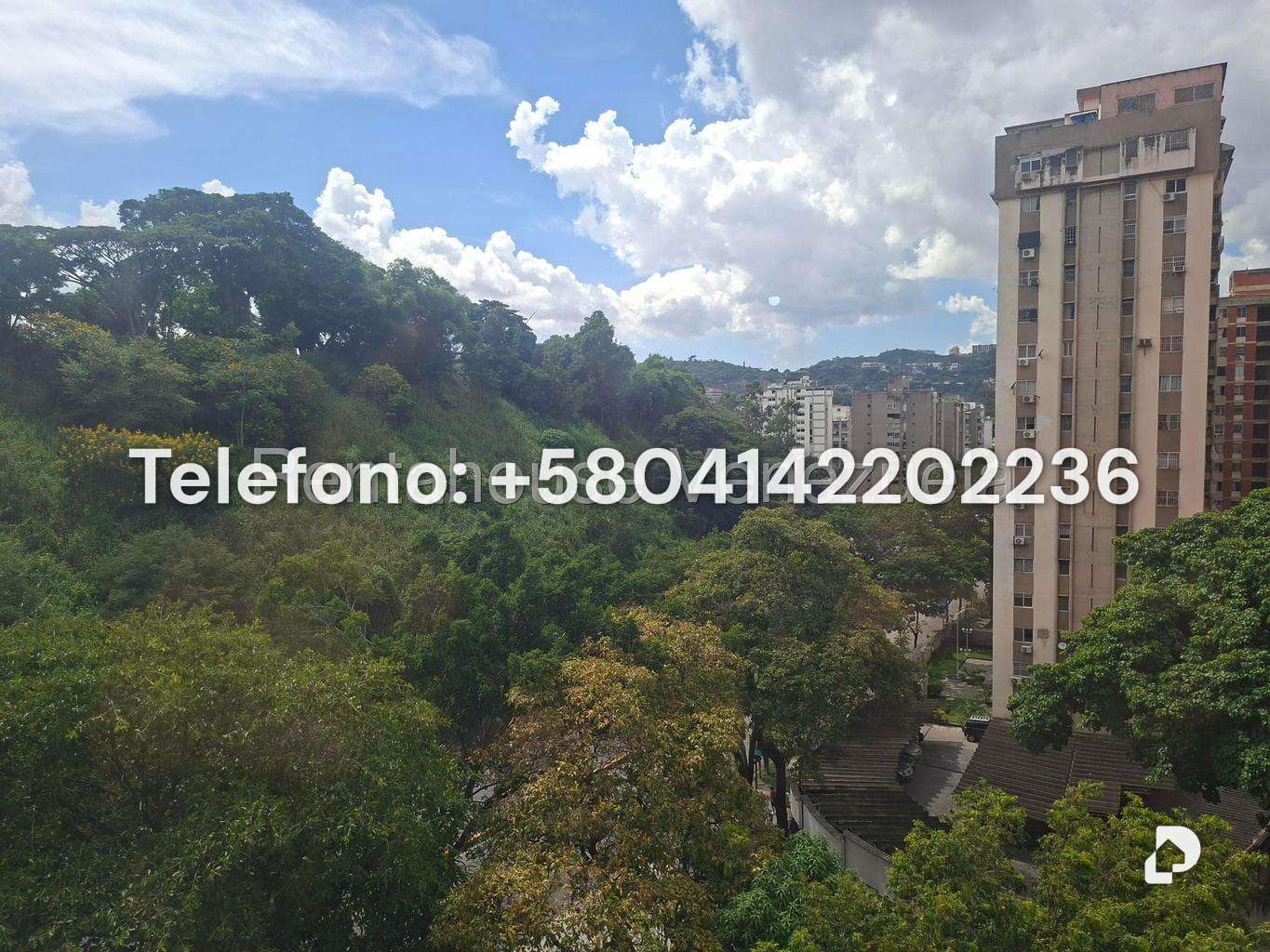 Apartamento en Terrazas del Club Hípico, Caracas – 23