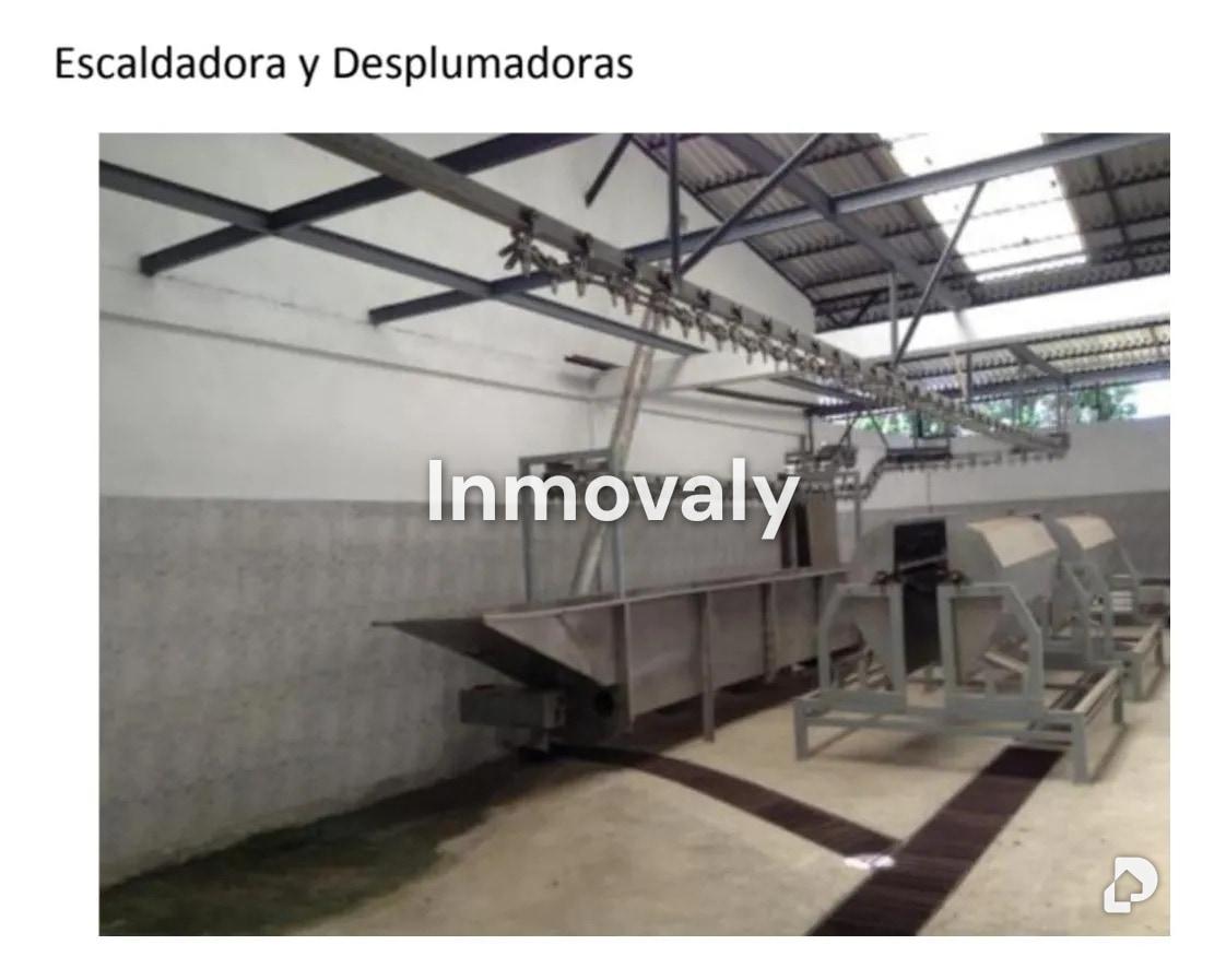 Finca en Miranda – 2