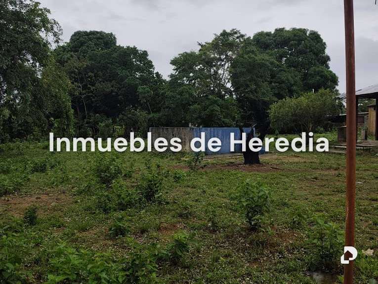 Farm in Tinaquillo – 6