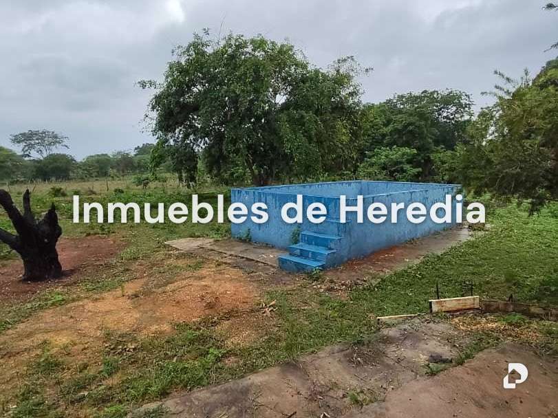Farm in Tinaquillo – 4