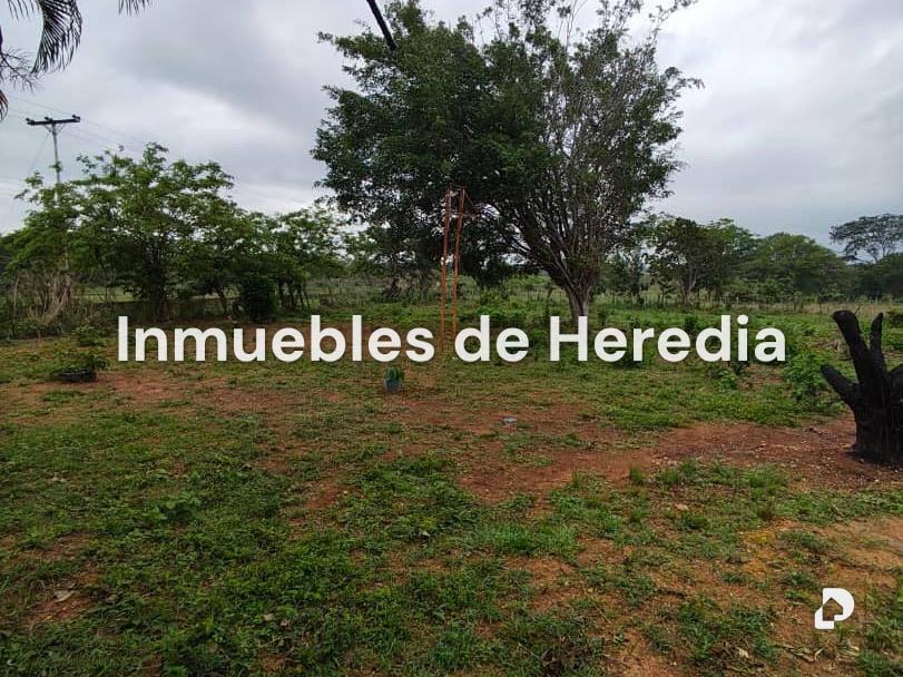 Farm in Tinaquillo – 3