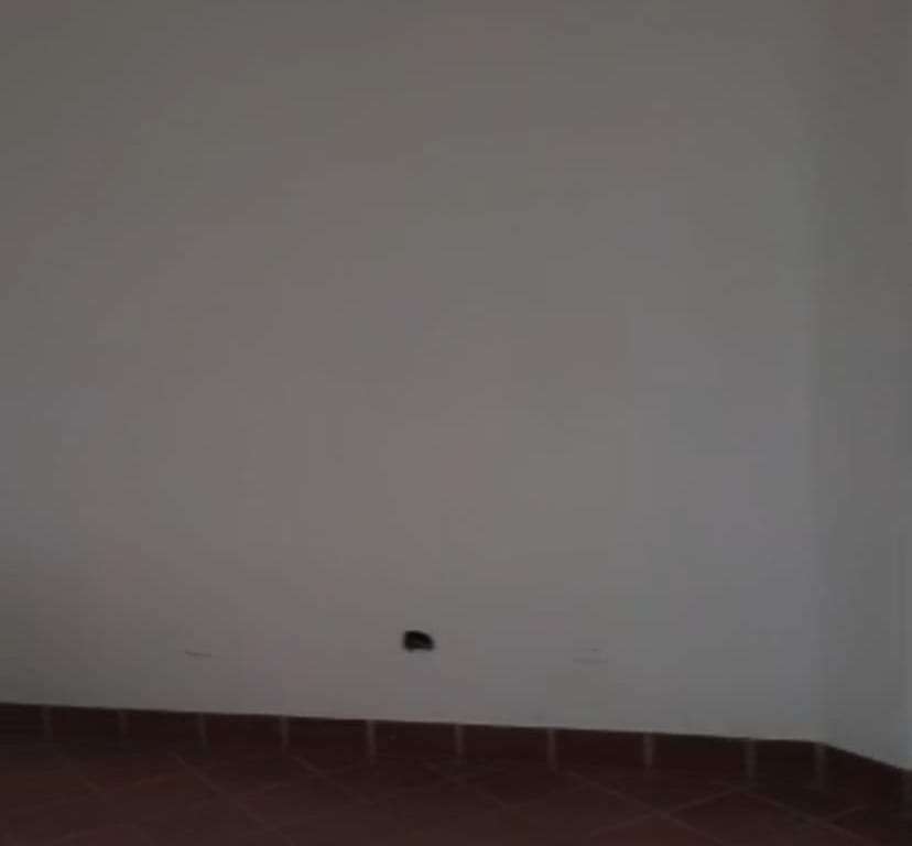 Local comercial en Barquisimeto - 1
