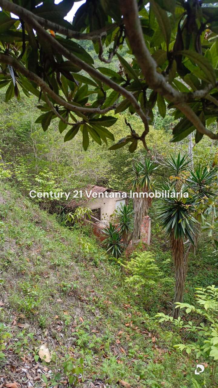 Casa en Caicaguana, Caracas – 26