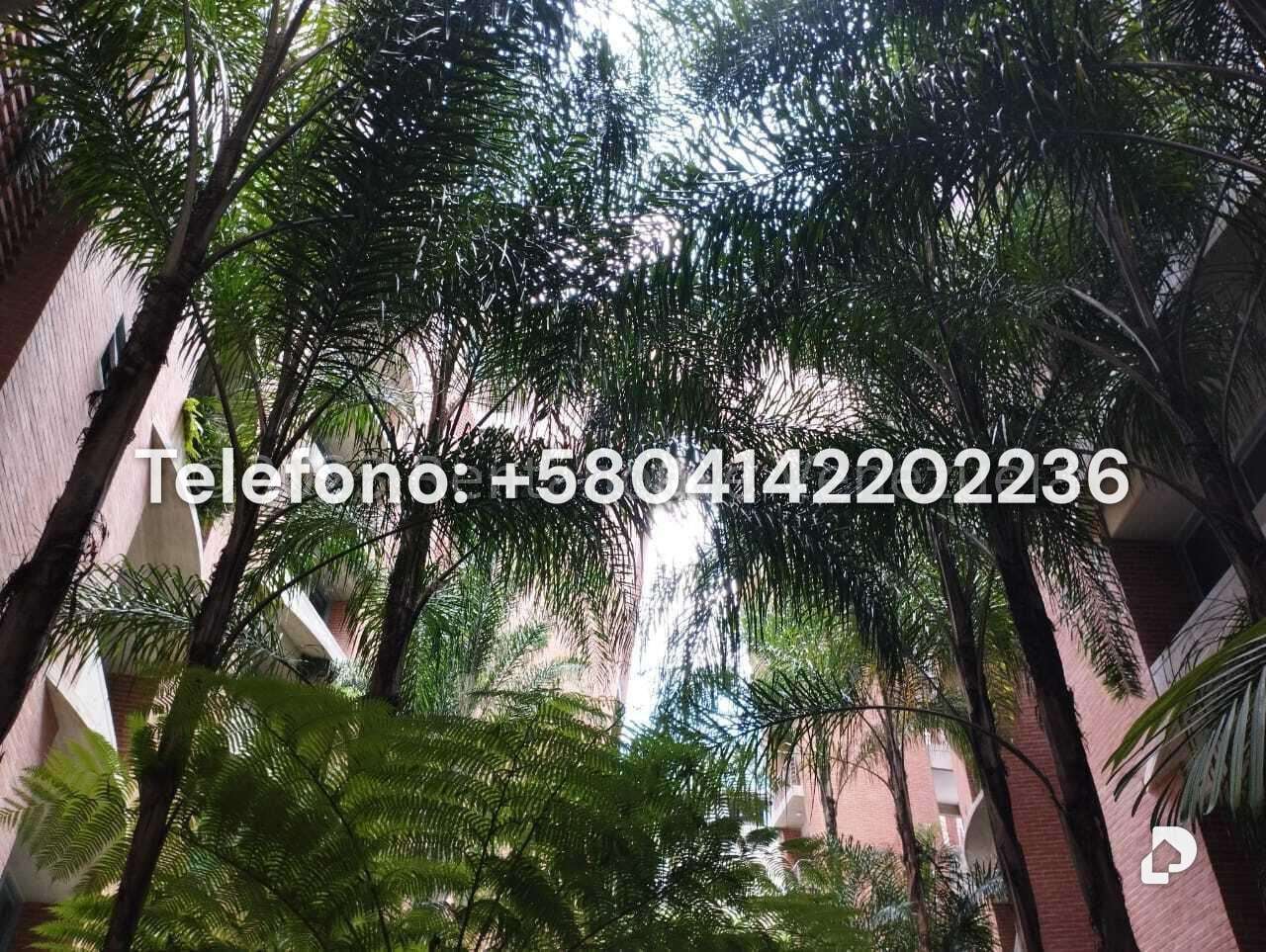 Apartamento en Lomas de Las Mercedes, Caracas – 50