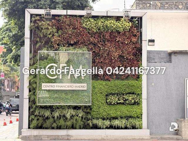 Office in Las Mercedes, Caracas – 1
