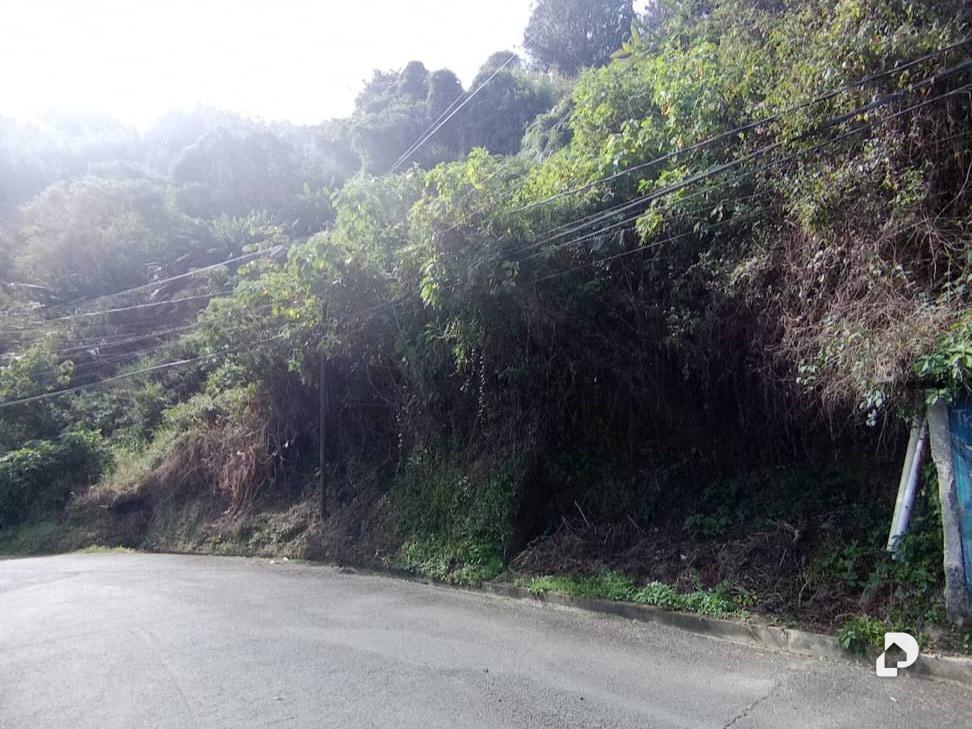 Terreno en La Suiza, San Antonio de Los Altos – 2