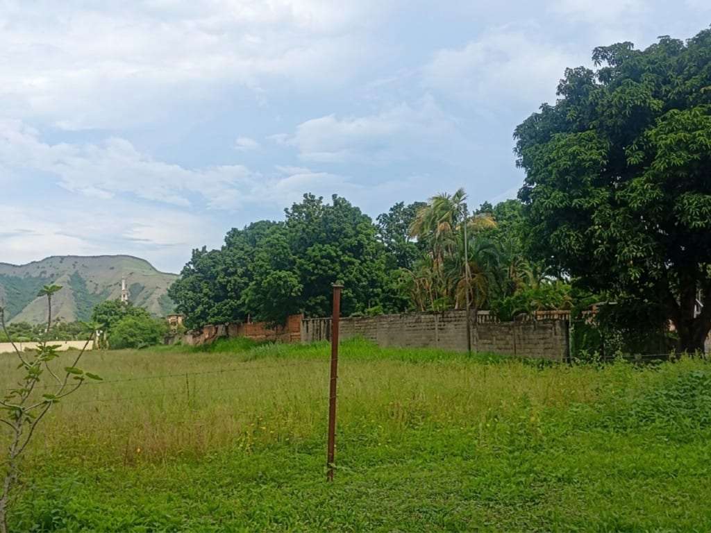 Terreno en Guacara - 1