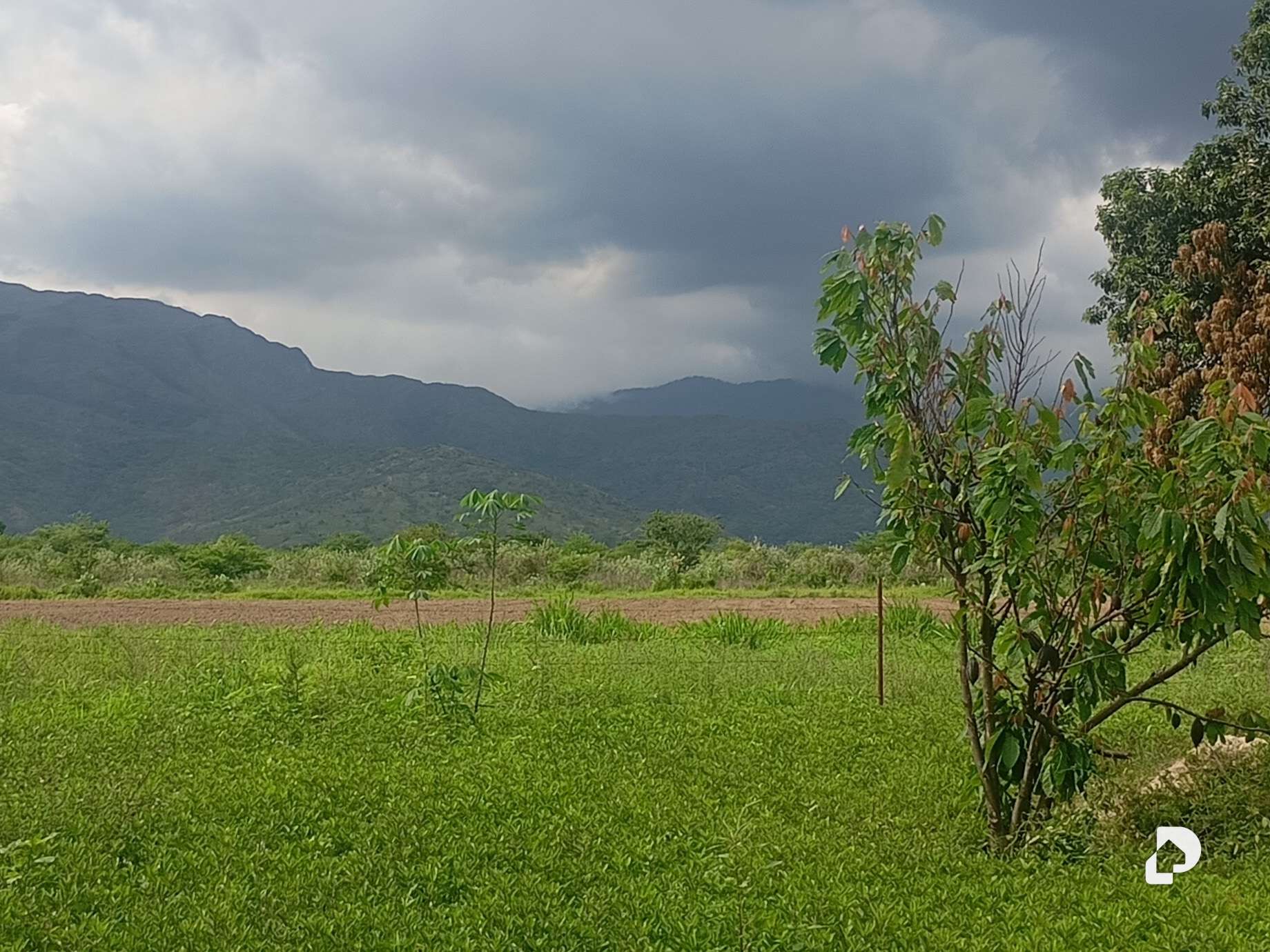 Terreno en Guacara – 6