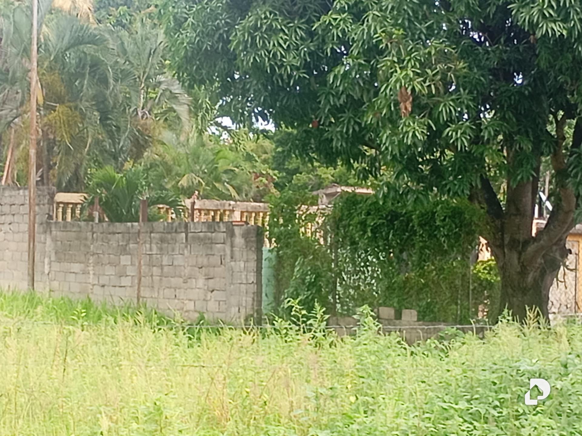 Terreno en Guacara – 5