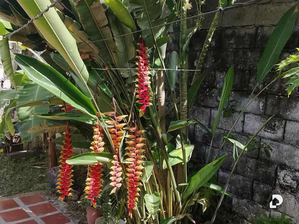 Casa en Urbanización La Sorpresa, Puerto Cabello – 7