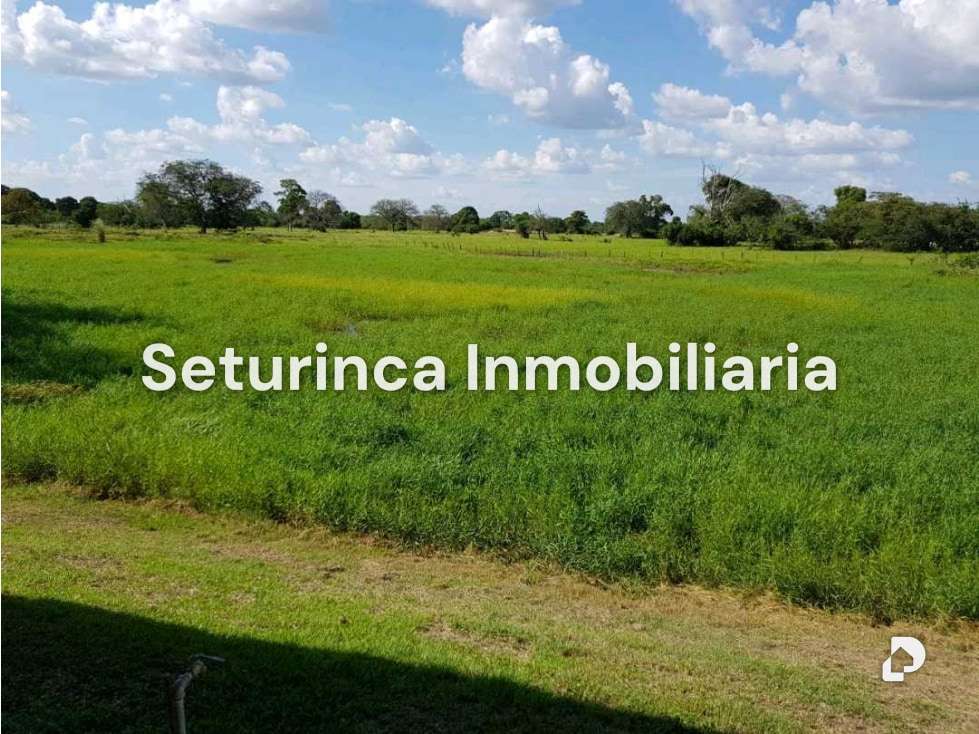 Finca en El Baúl – 7