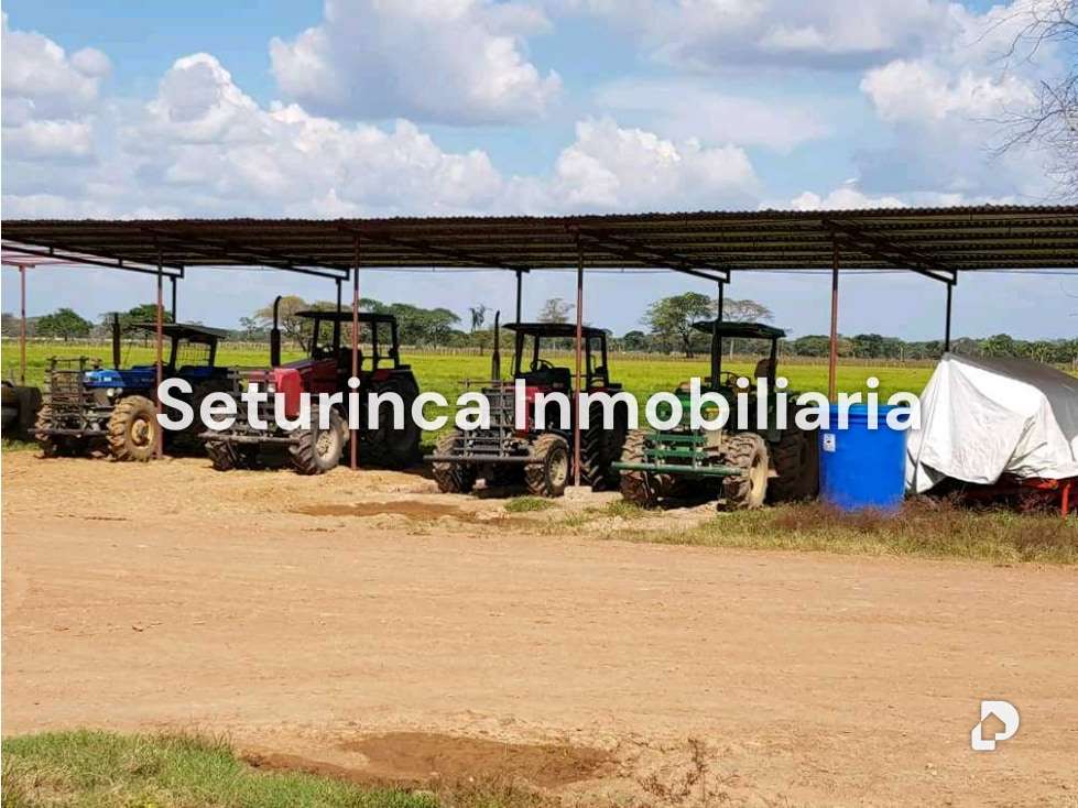 Finca en El Baúl – 22