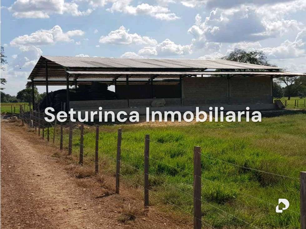Finca en El Baúl – 19
