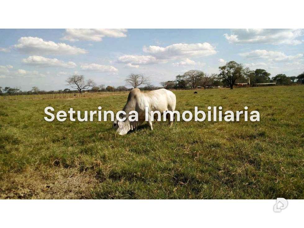 Finca en El Baúl – 13