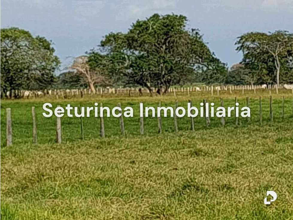 Finca en El Baúl – 3