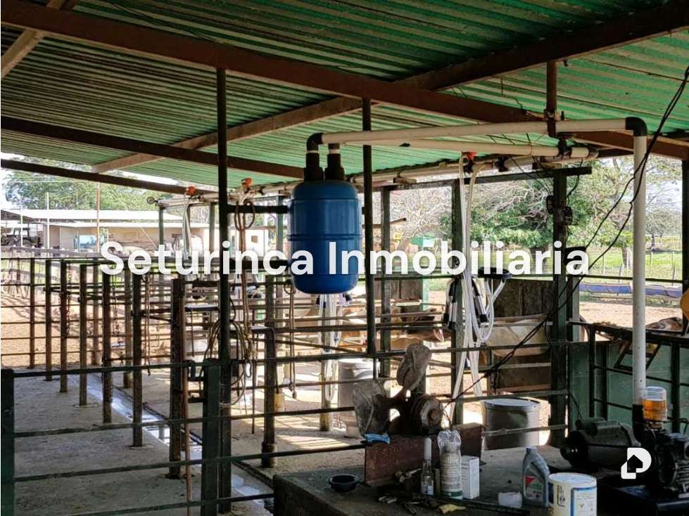 Finca en El Baúl – 10