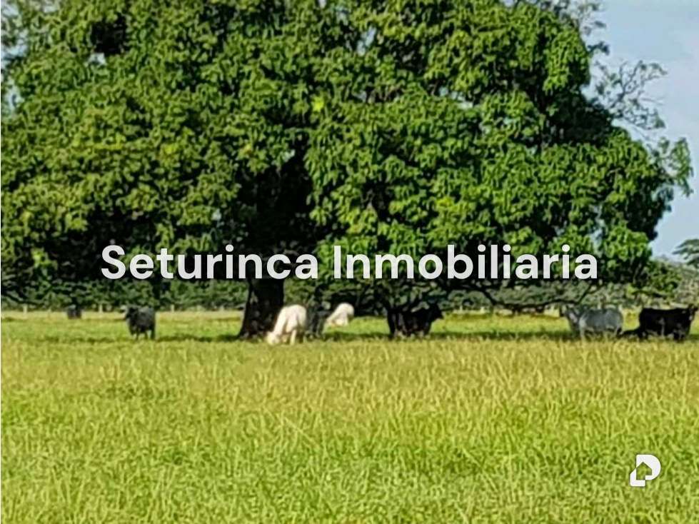 Finca en El Baúl – 12