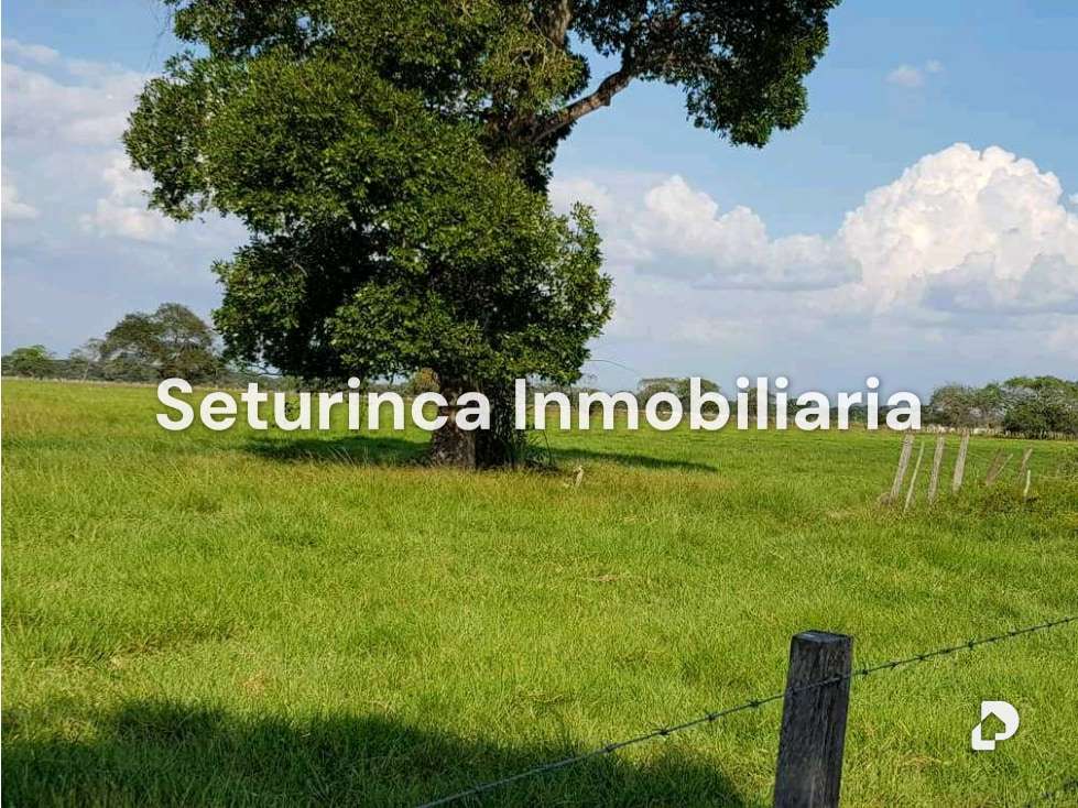 Finca en El Baúl – 17
