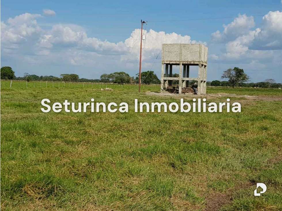 Finca en El Baúl – 8