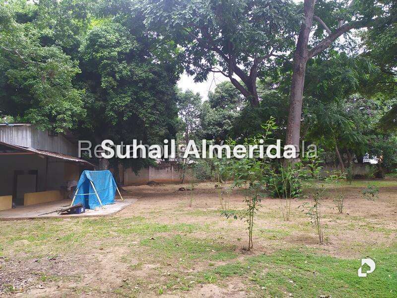 Terreno en Agua Blanca, Valencia – 16