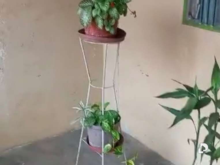 Casa en Coloncito – 3