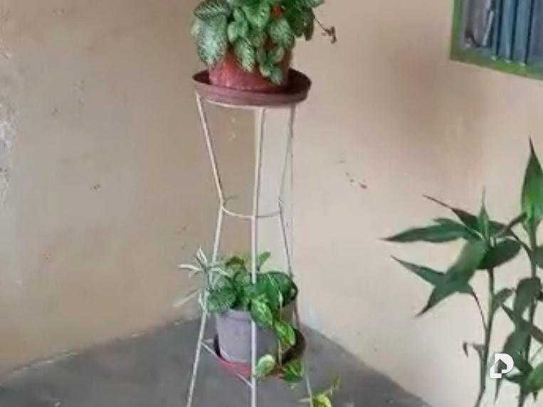 Casa en Coloncito – 3