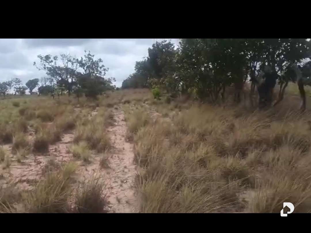 Terreno en Sur, Caicara del Orinoco – 2