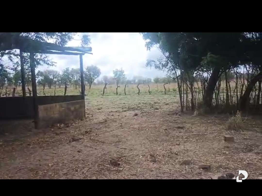 Terreno en Sur, Caicara del Orinoco – 5