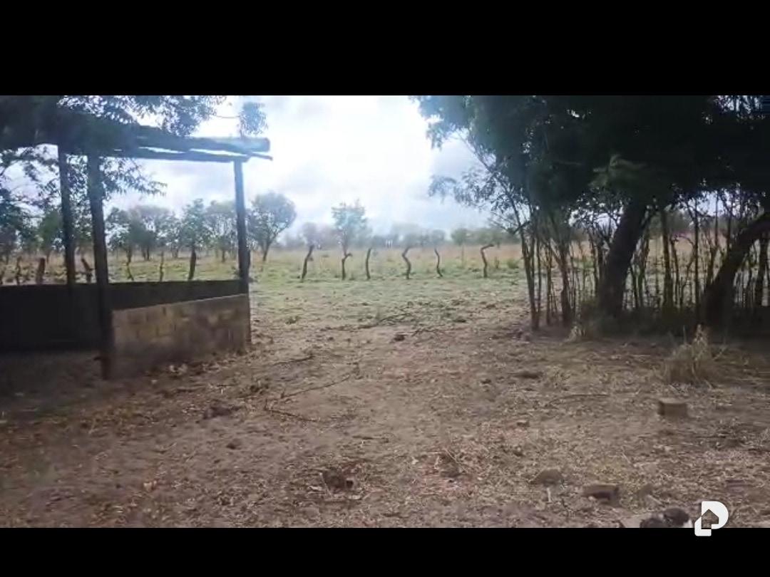Terreno en Sur, Caicara del Orinoco – 5